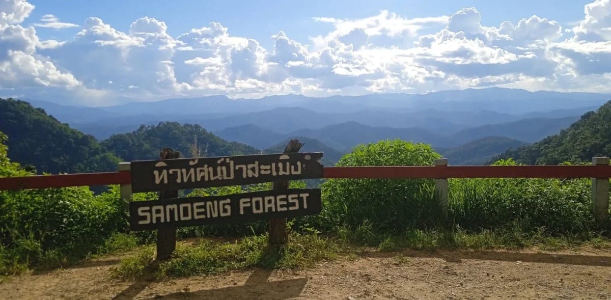 Rider on a scenic mountain road through the Samoeng Loop with panoramic valley views and tropical forest canopy