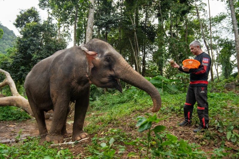 Rider feeding an elephant during a motorcycle tour stop in Thailand