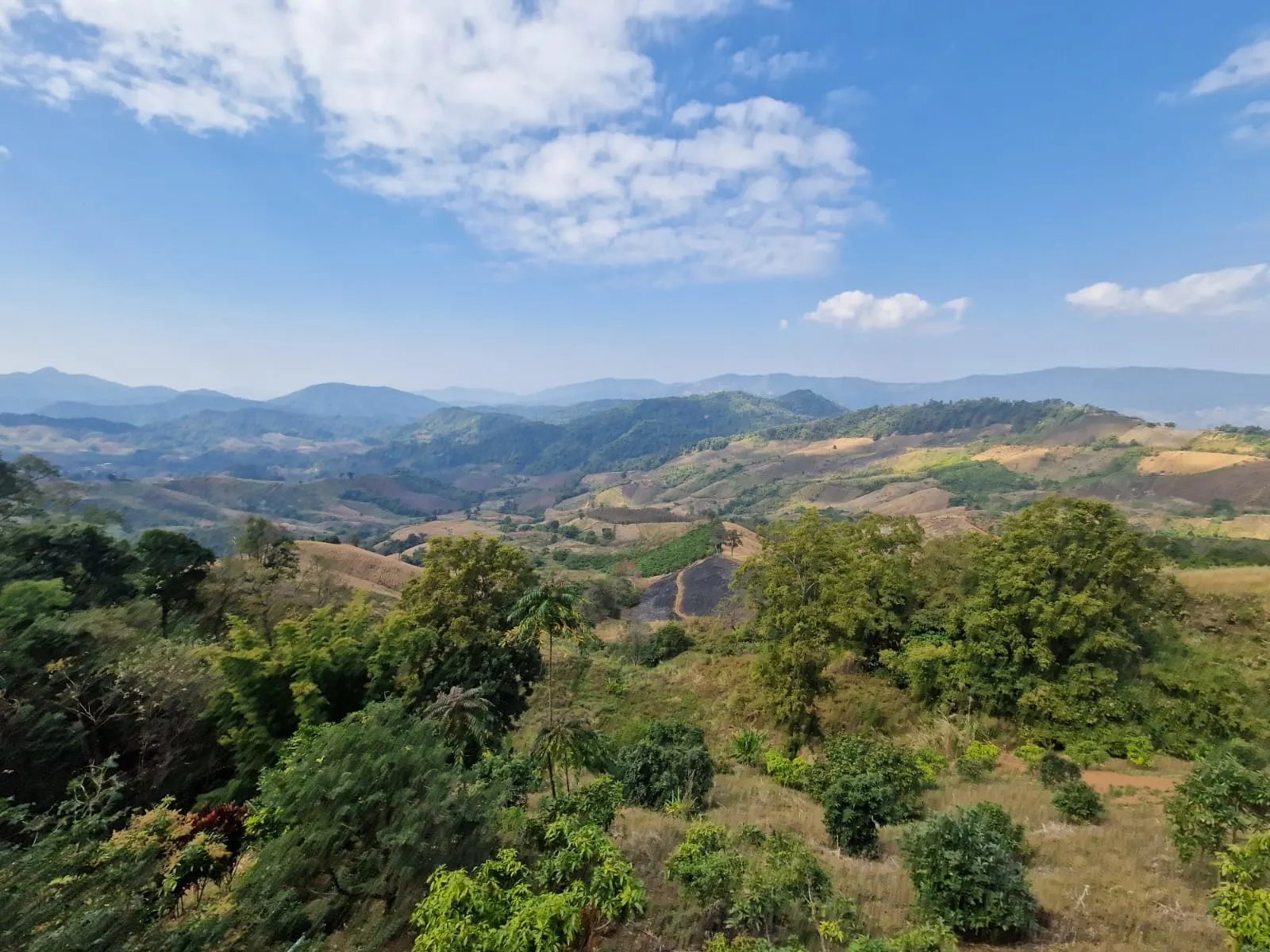 Mountain scenic view