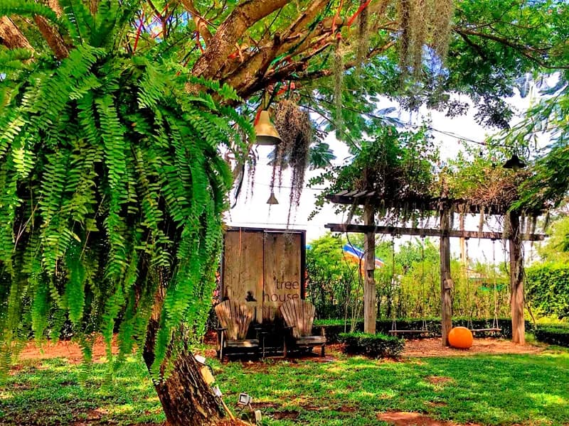 Rustic tree house café in the Silver Lake area