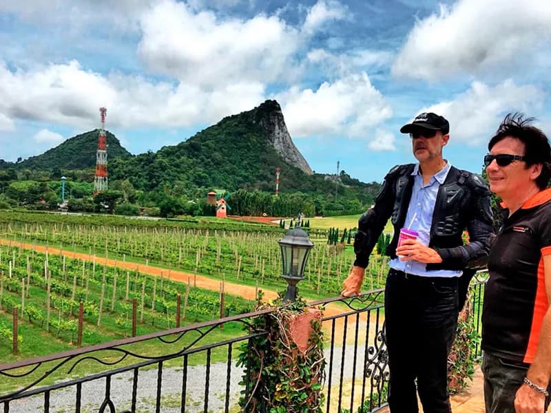 Riders overlooking vineyards with Big Buddha Mountain