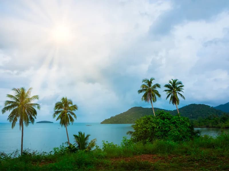 Coastal viewpoint with palm trees, mountains, and ocean on Koh Chang
