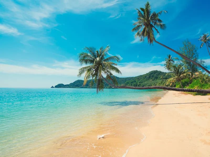 Paradise beach with palm trees on Koh Chang