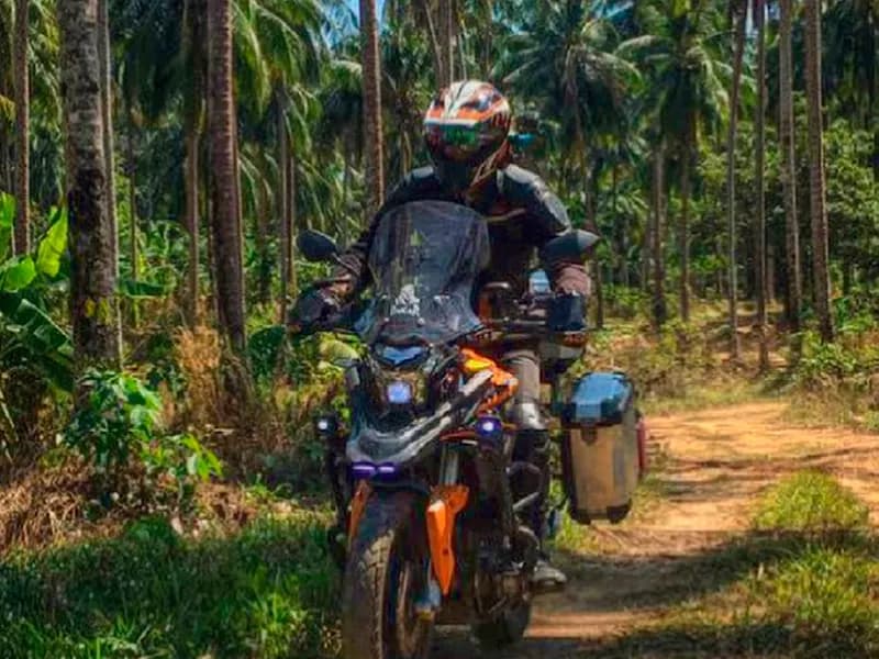 Day 4: Waterfalls & Jungle Trek