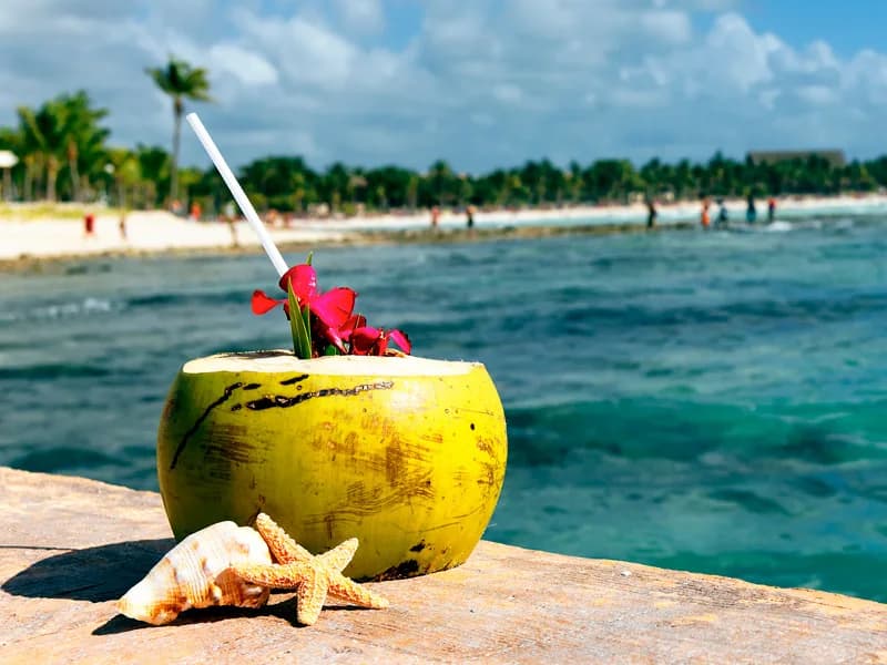 Coconut drink on the beach with ocean view