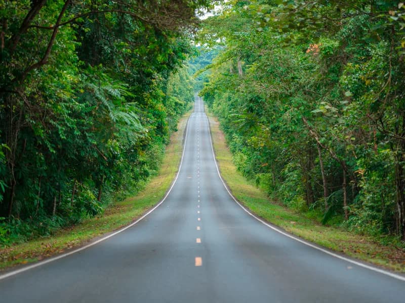 Day 13: Khao Yai National Park — 380km