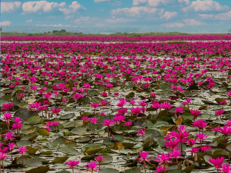 Mor Hin Khao sandstone rock formations