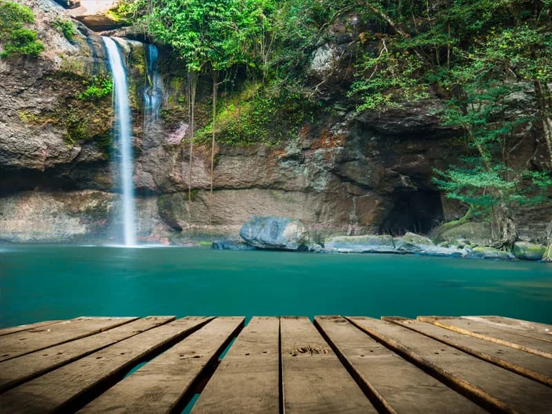 Scenic curves through Khao Yai National Park