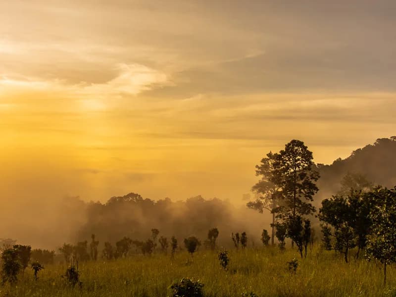 Outdoor Weapon Museum with panoramic mountain views