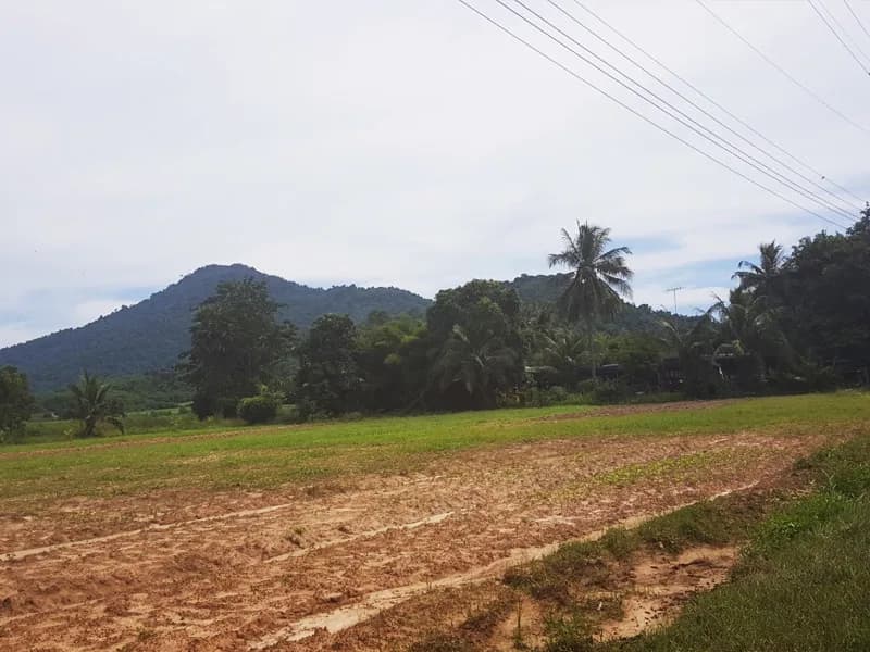 Arriving back at Motorbike Madness HQ