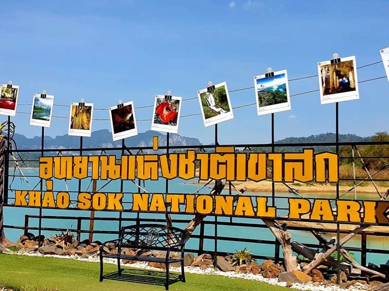 Tropical hotel in Khao Sok National Park